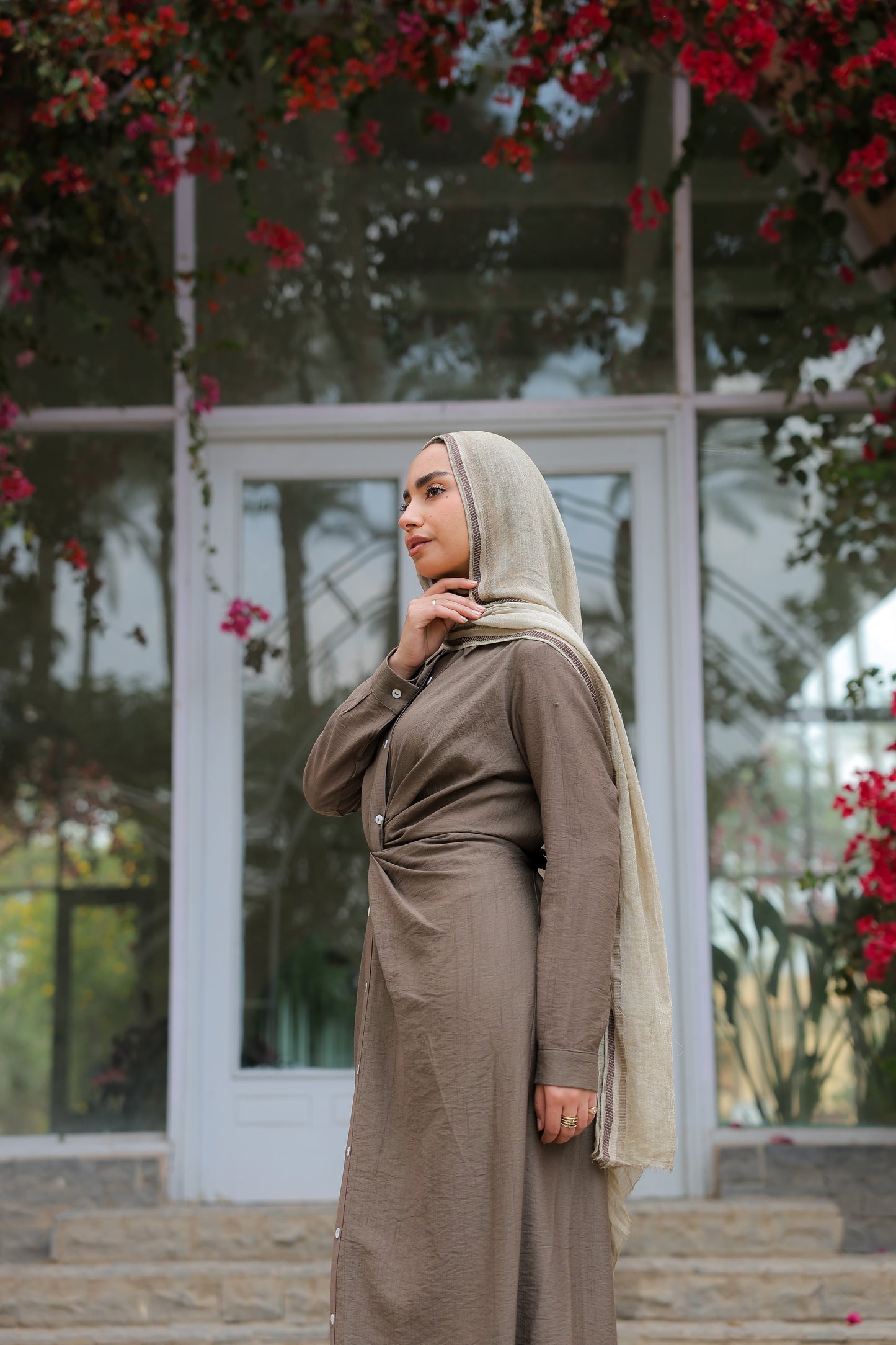 Soli dress in brown