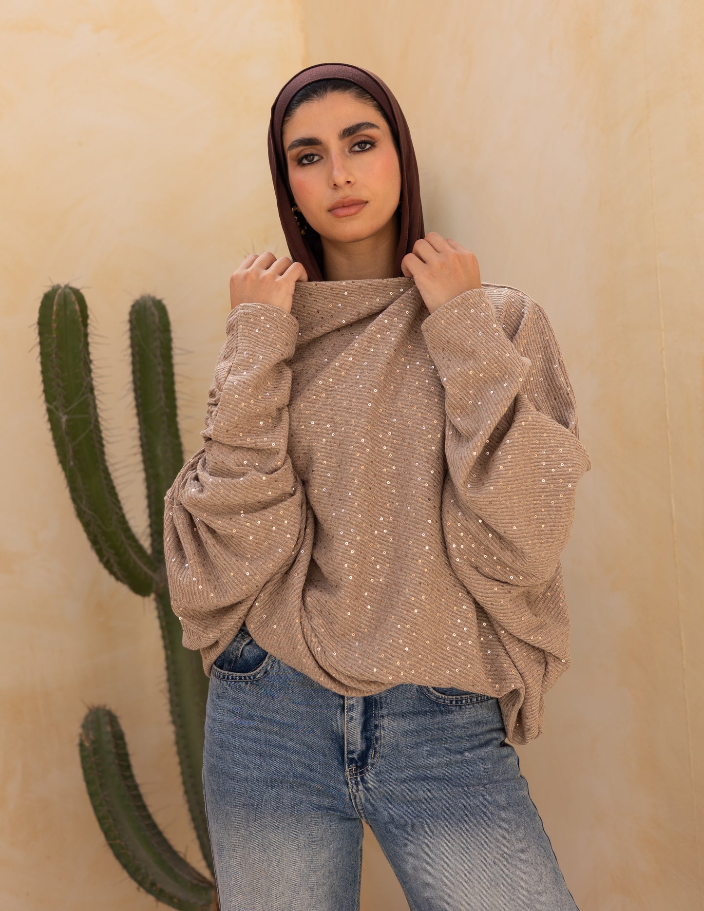 Knitted top with Sequins in latte