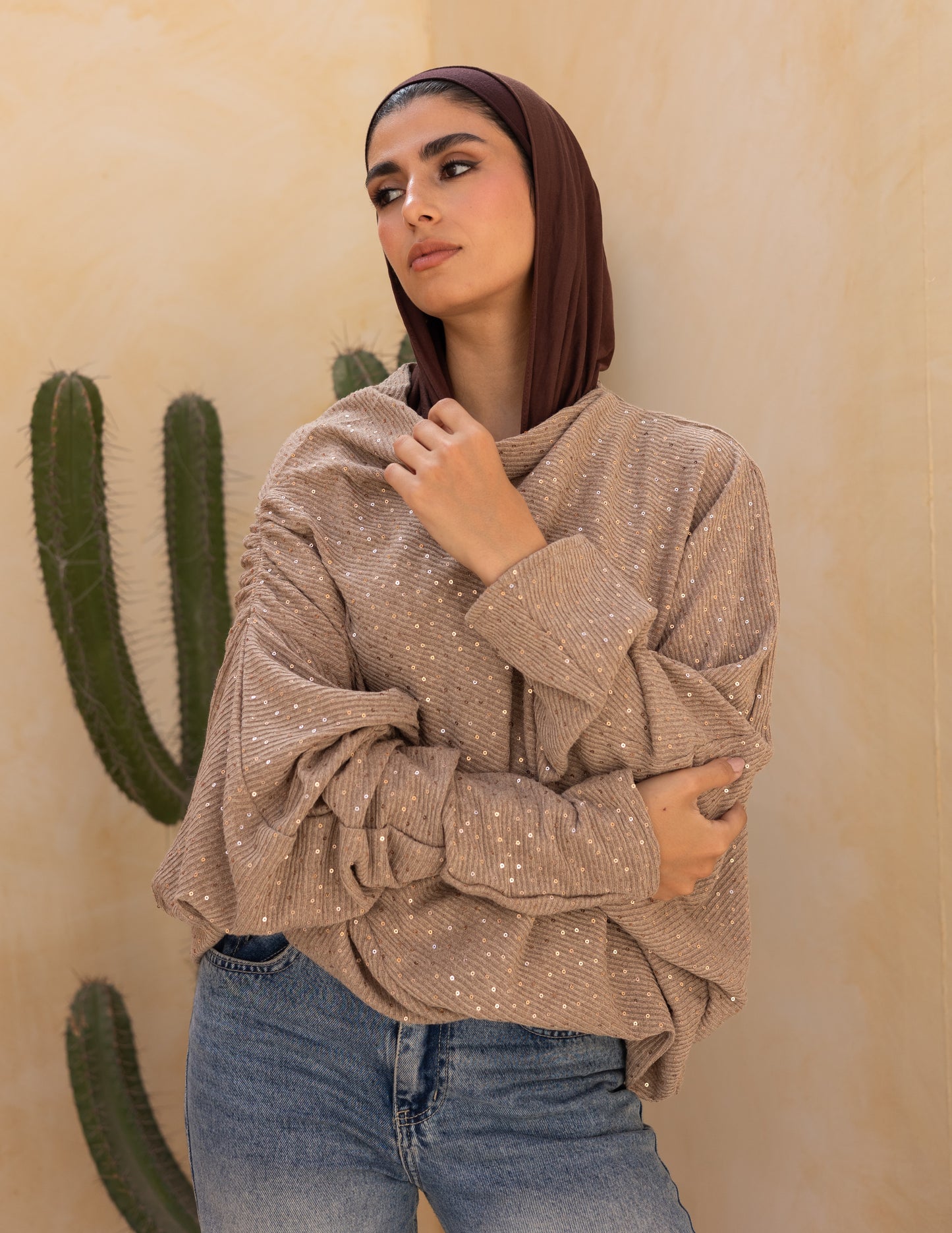 Knitted top with Sequins in latte