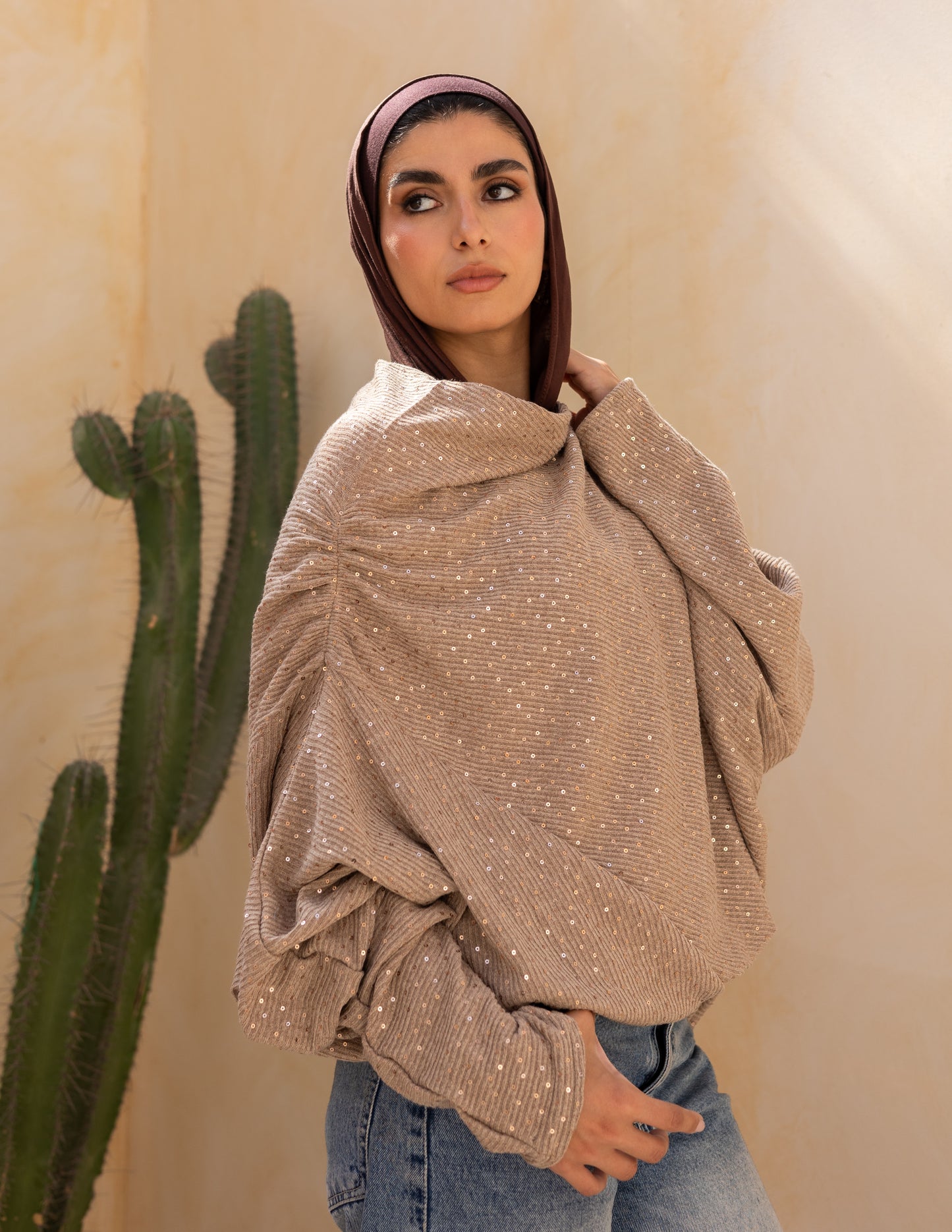 Knitted top with Sequins in latte